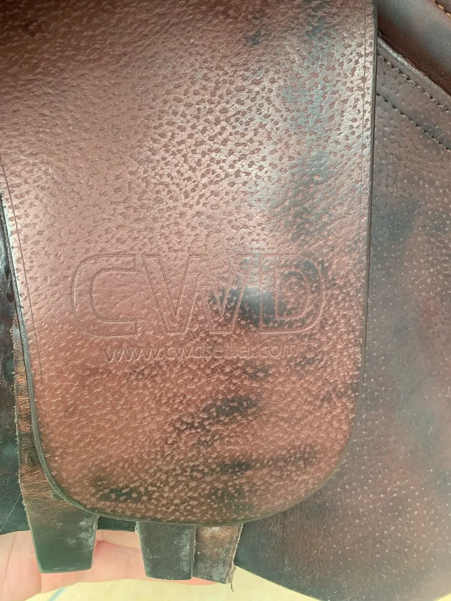 CWD SE02 Jumping Saddle - Image 4