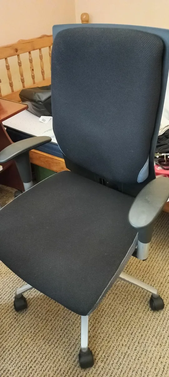 Ergonomic chair - Image 1