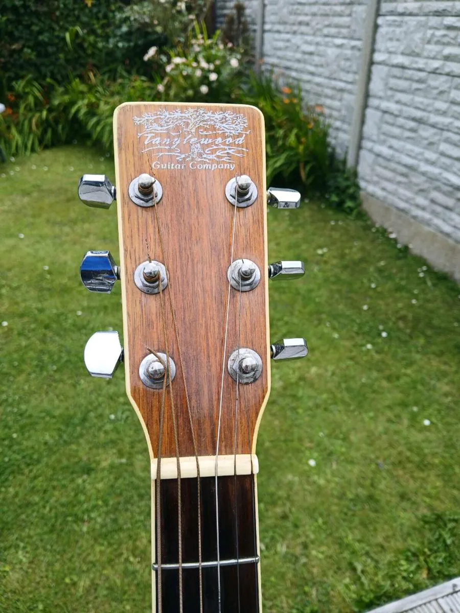 Tanglewood Semi Acoustic - Image 2