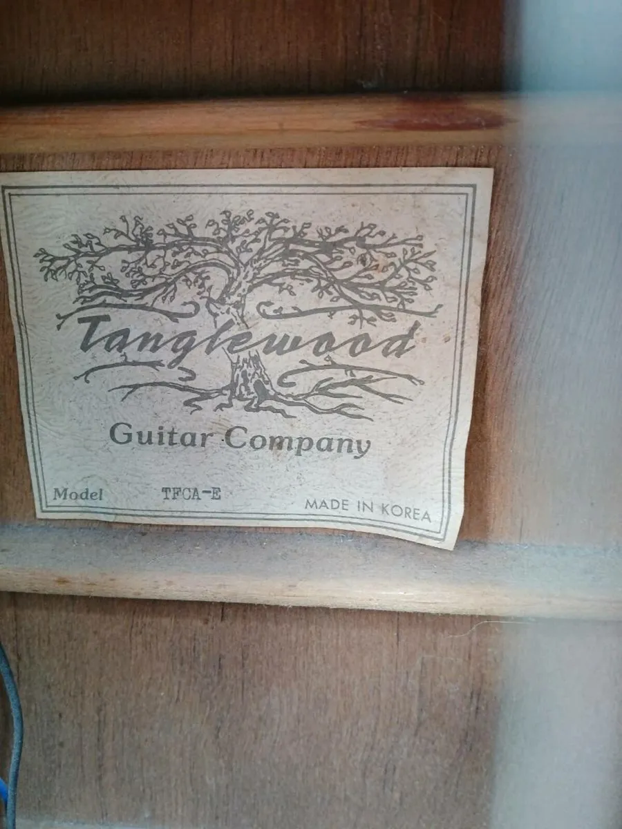 Tanglewood Semi Acoustic - Image 4