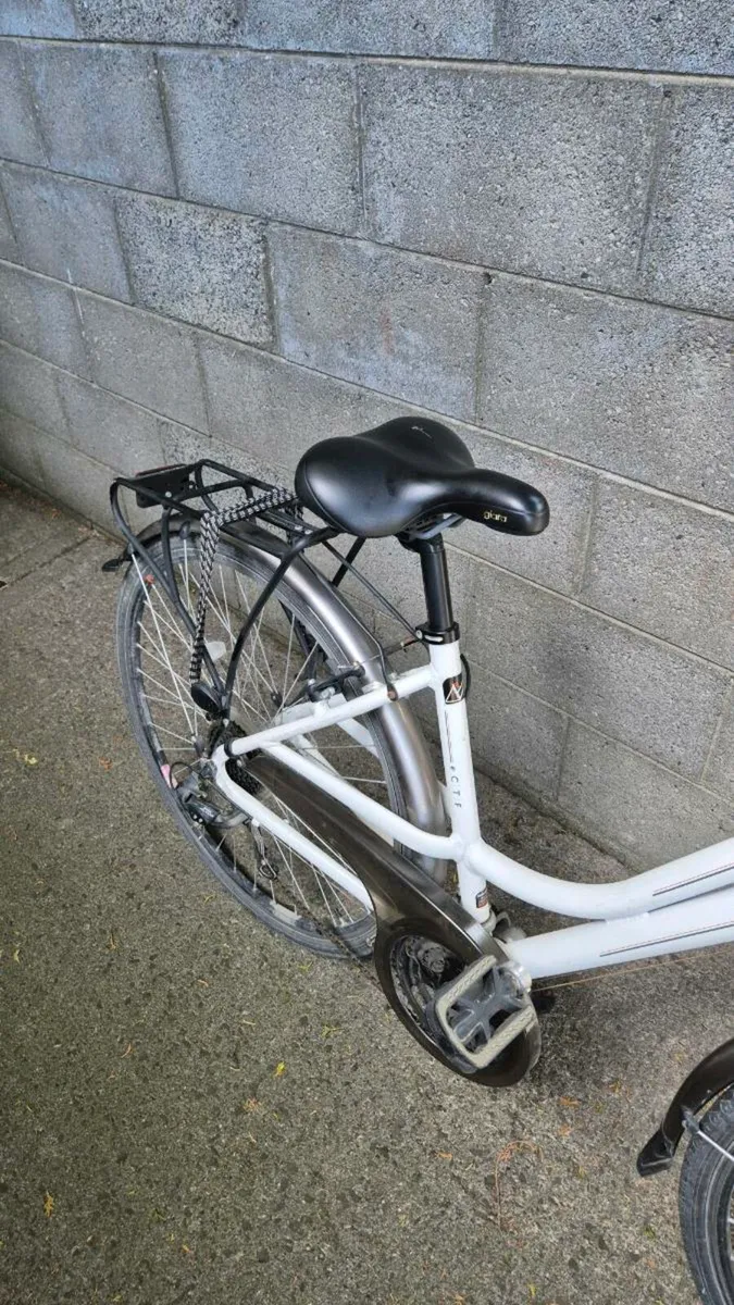 Raleigh Pioneer 3 - Image 4