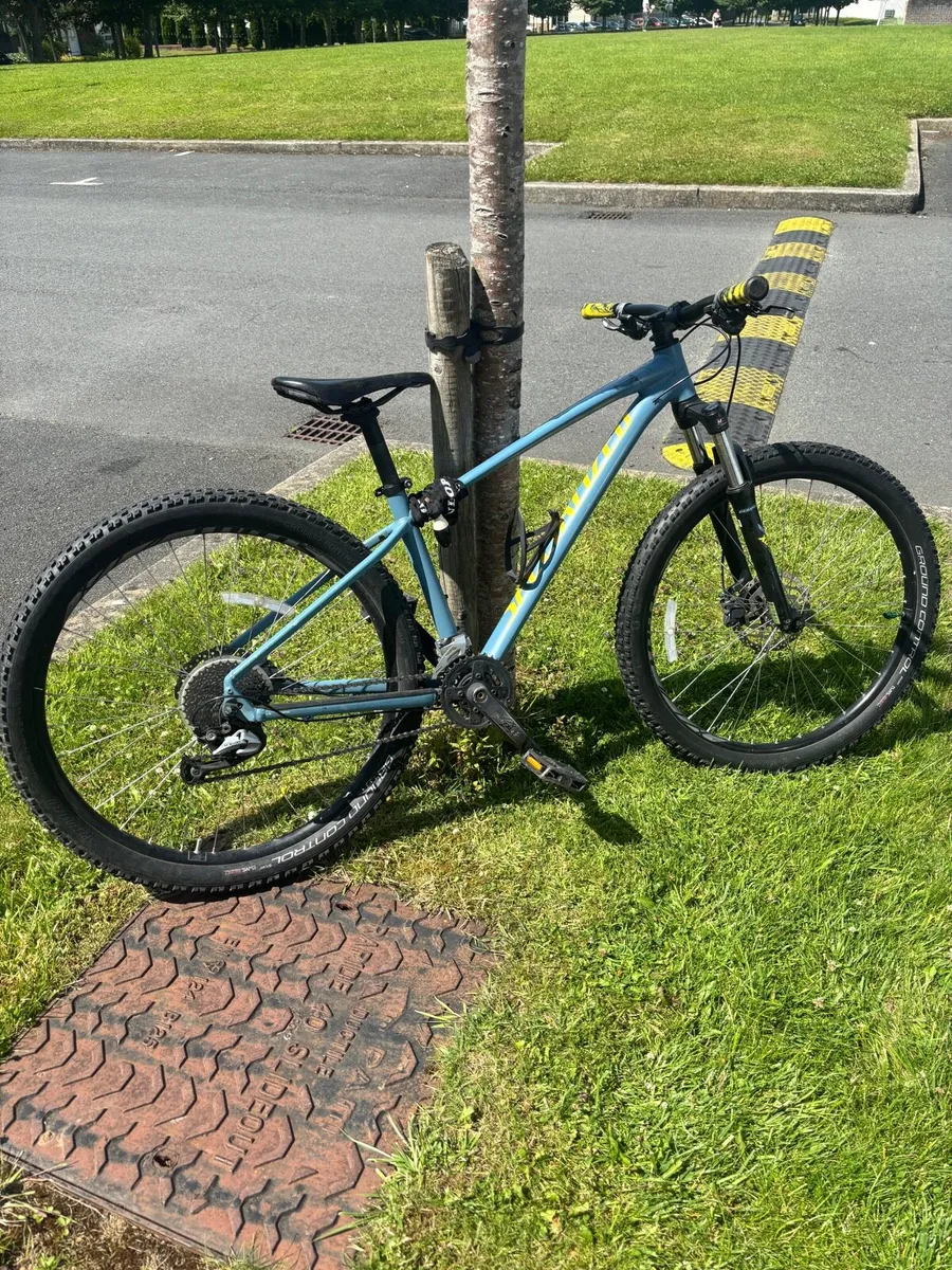 Mountain Bike - Image 1