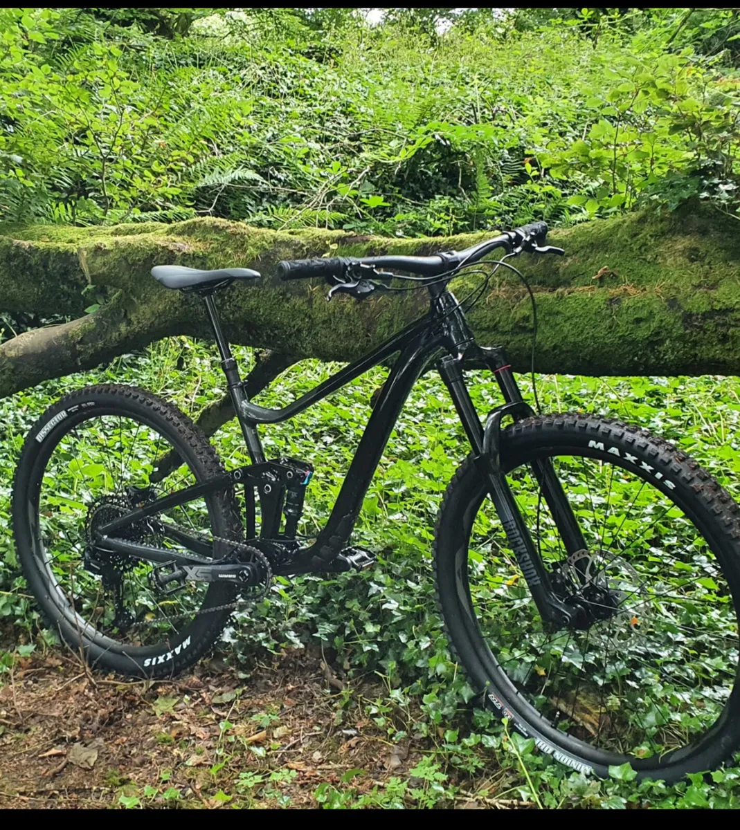 Mountain Bike - Image 1