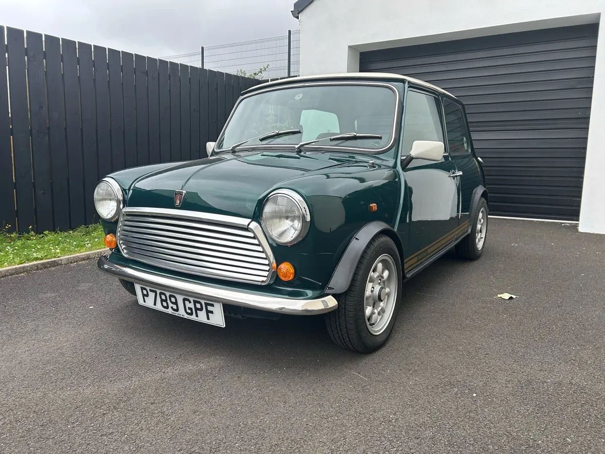 Rover Mini Tartan Edition - Image 1