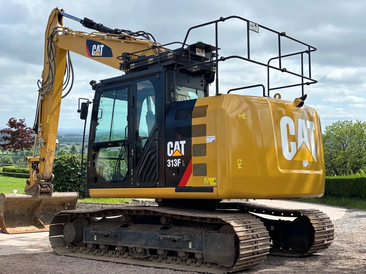 Cat 313F - Image 1