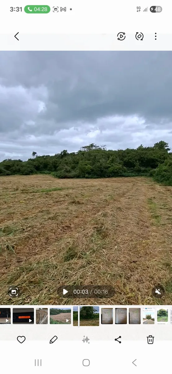 Hay bedding no rushes - Image 1
