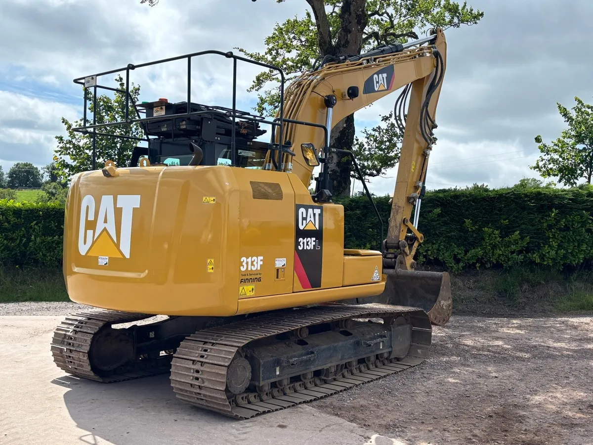 Cat 313F - Image 2