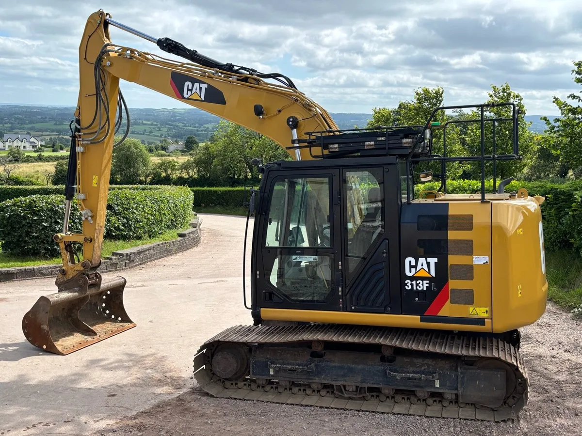 Cat 313F - Image 3