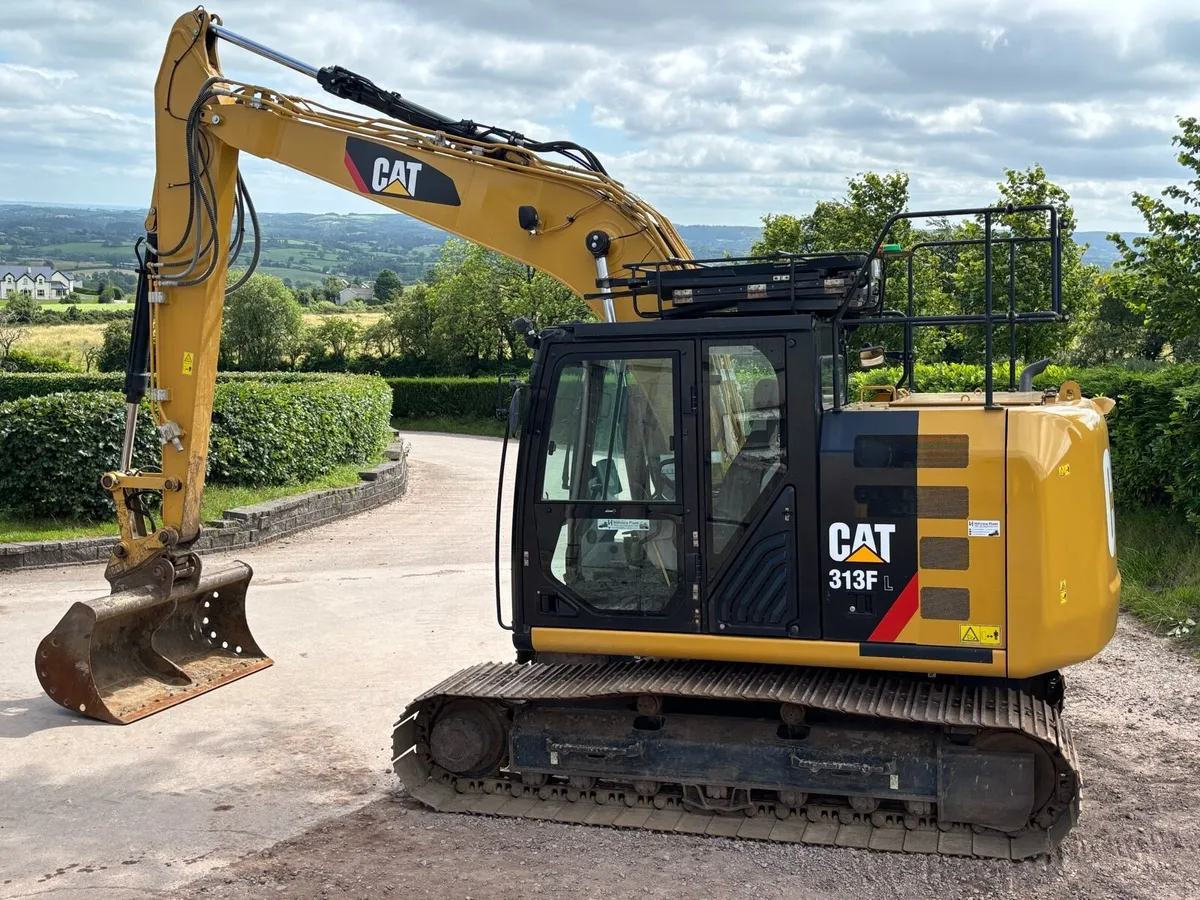 Cat 313F - Image 4