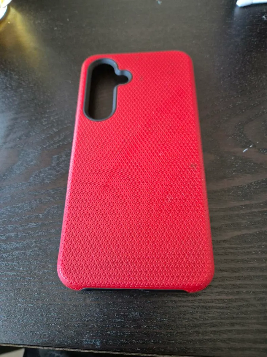 Samsung S24 back Cover + Wired Earphones - Image 1