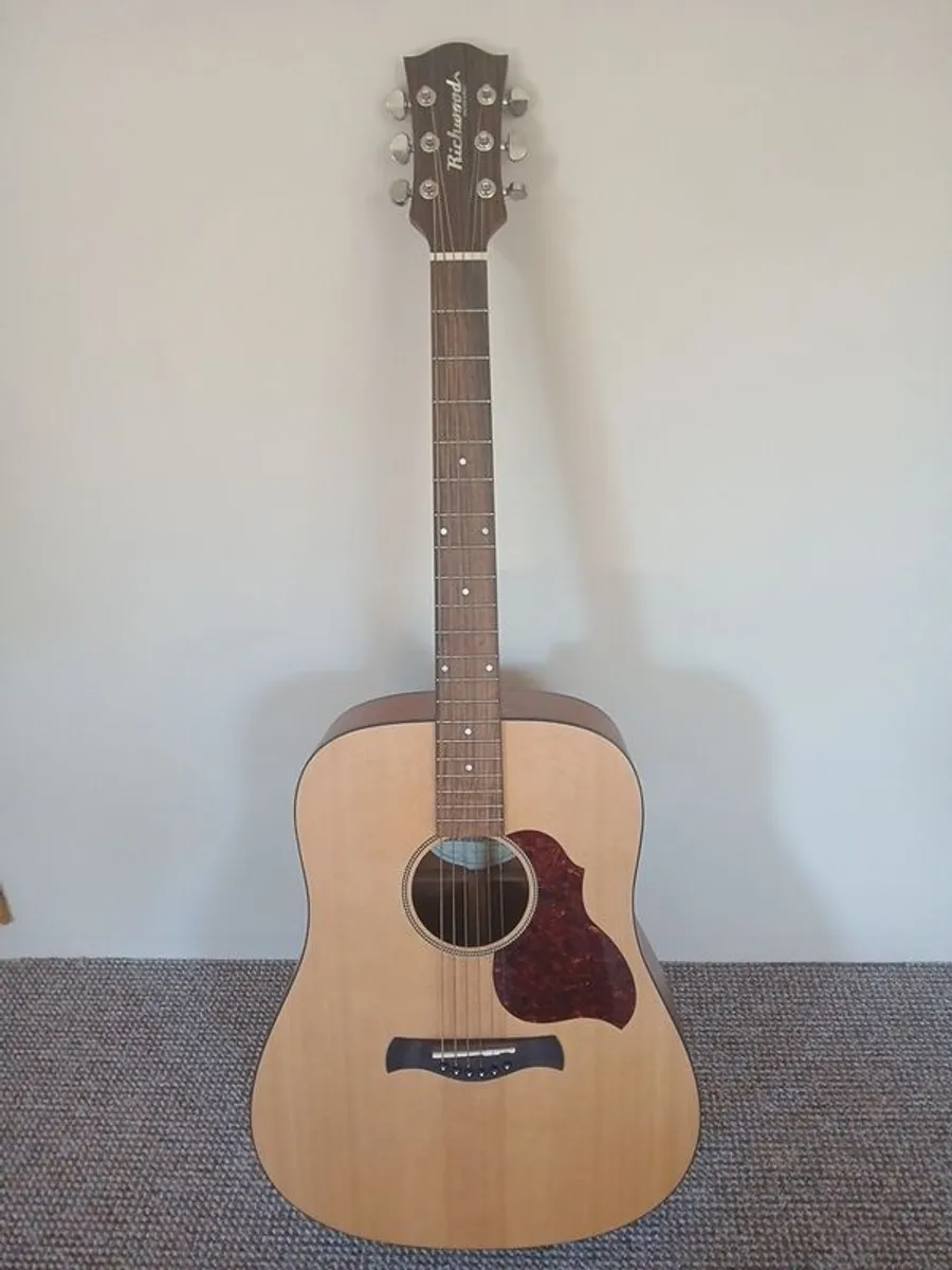 Richwood Master Series D-20 Acoustic Guitar - Image 1