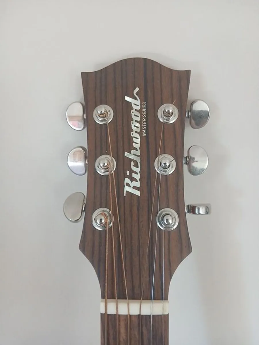 Richwood Master Series D-20 Acoustic Guitar - Image 2