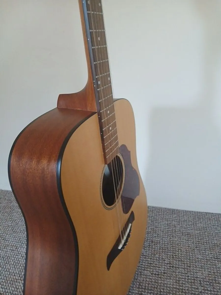 Richwood Master Series D-20 Acoustic Guitar - Image 3