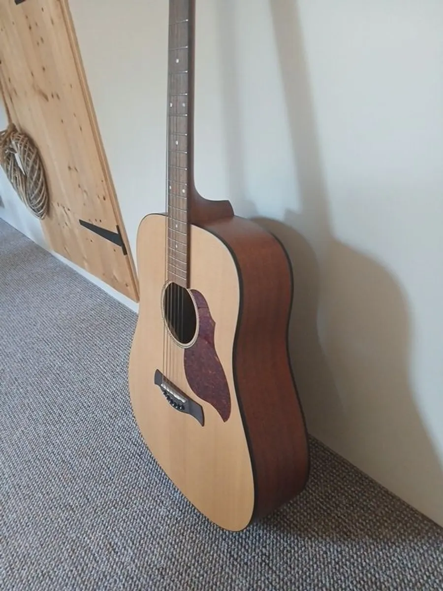 Richwood Master Series D-20 Acoustic Guitar - Image 4