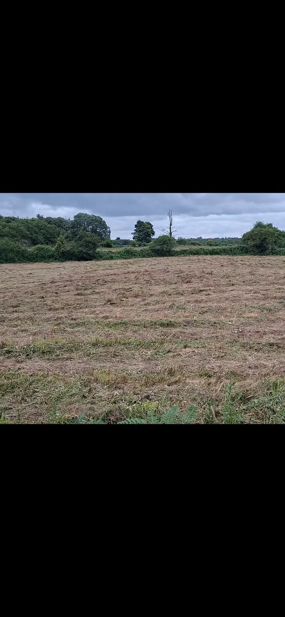 Hay bedding no rushes - Image 2