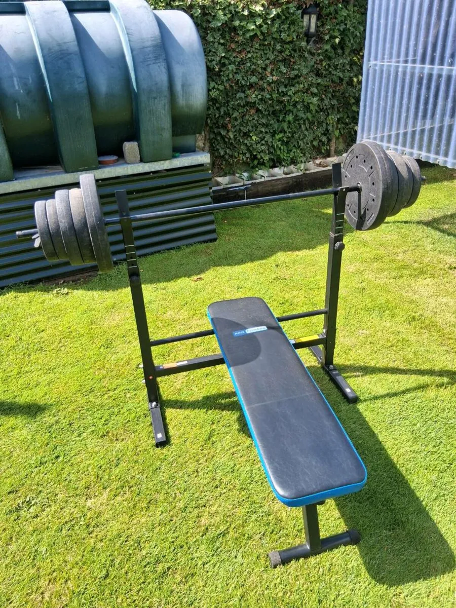 Workout bench and weights - Image 1
