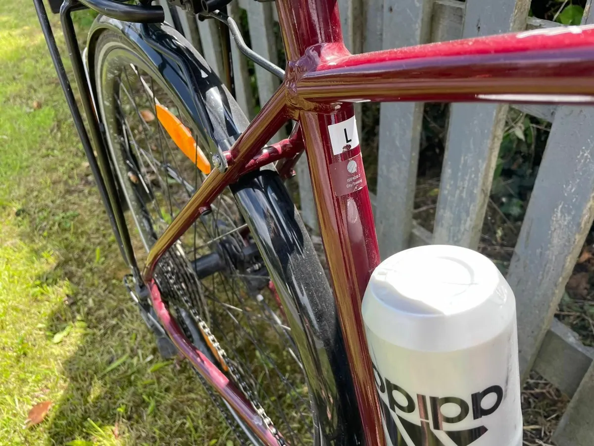 Trek FX 3 Disc Hybrid Bike 2023 Viper Red/Bobra Bl - Image 4