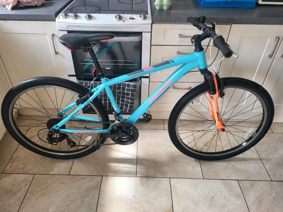 Mountain bike - Image 1