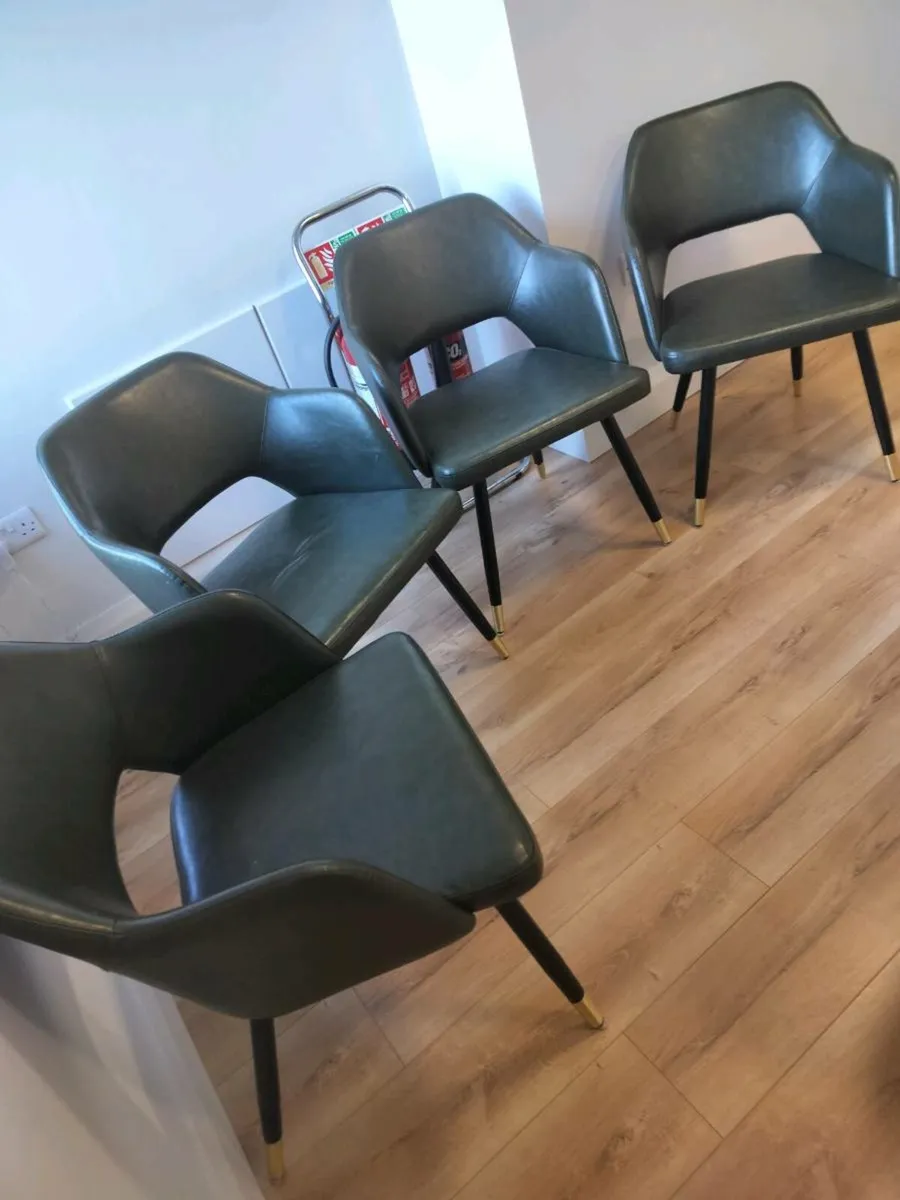Dining Chairs - Image 1