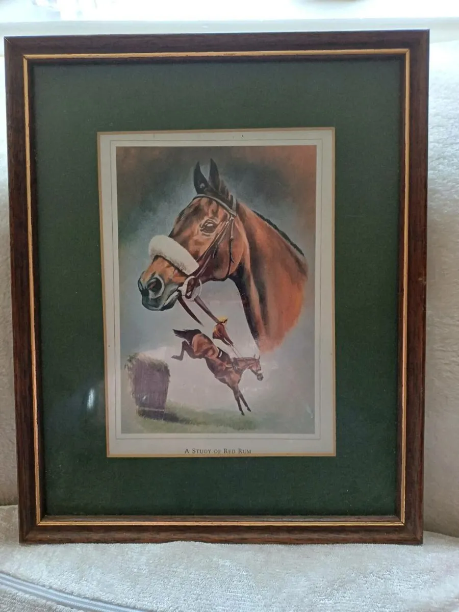 Vintage Horse Racing Pictures - Image 3