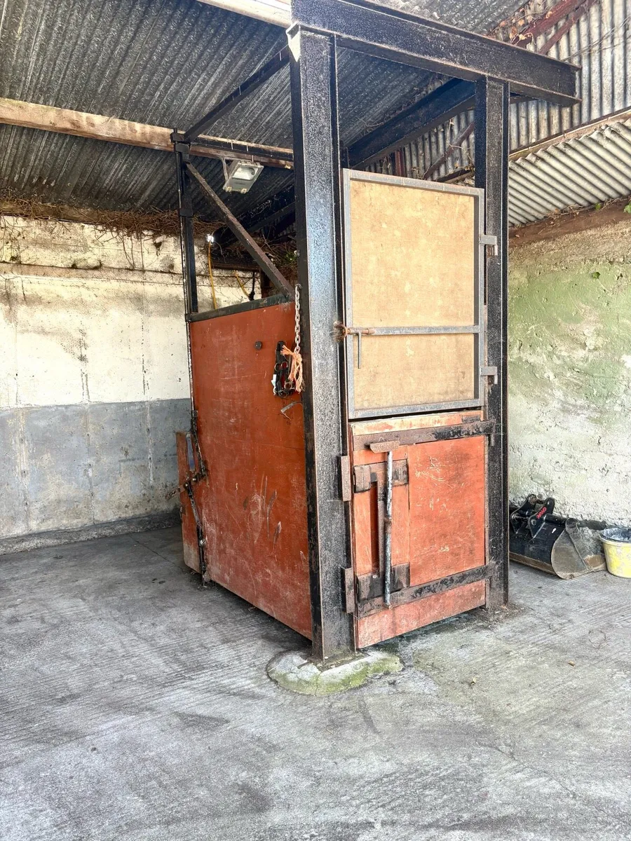 Horse Stock/Stock Crush - Image 1