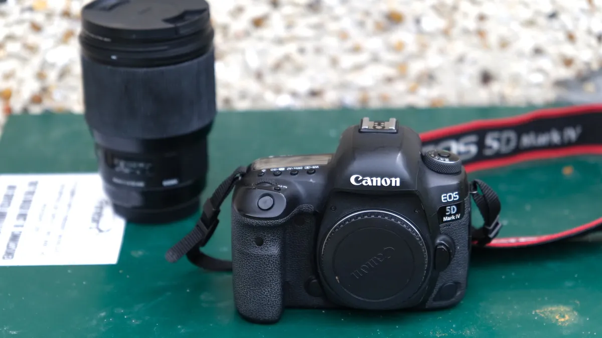 Canon 5D iv with sigma 85 1.4 art lens - Image 3
