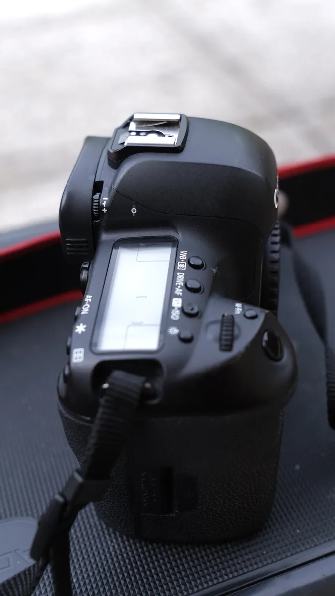 Canon 5D iv with sigma 85 1.4 art lens - Image 4
