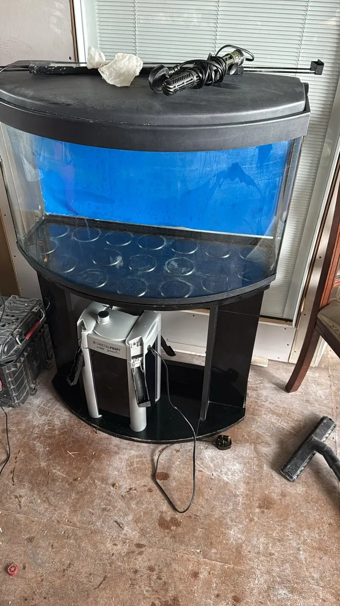 Aquarium - Image 4