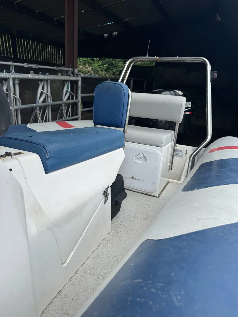 Rib - Image 1