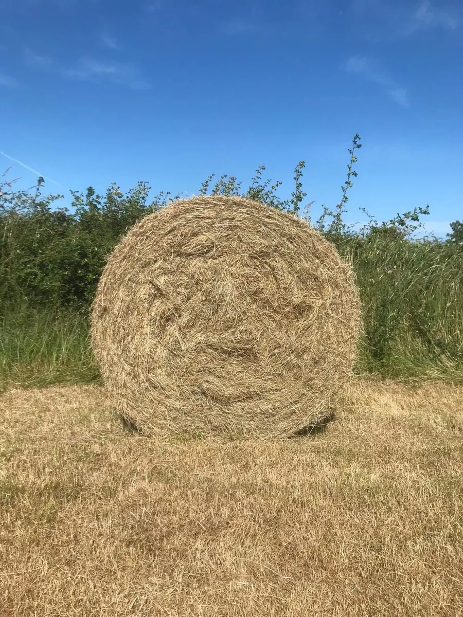 4x4 hay bales - Image 2