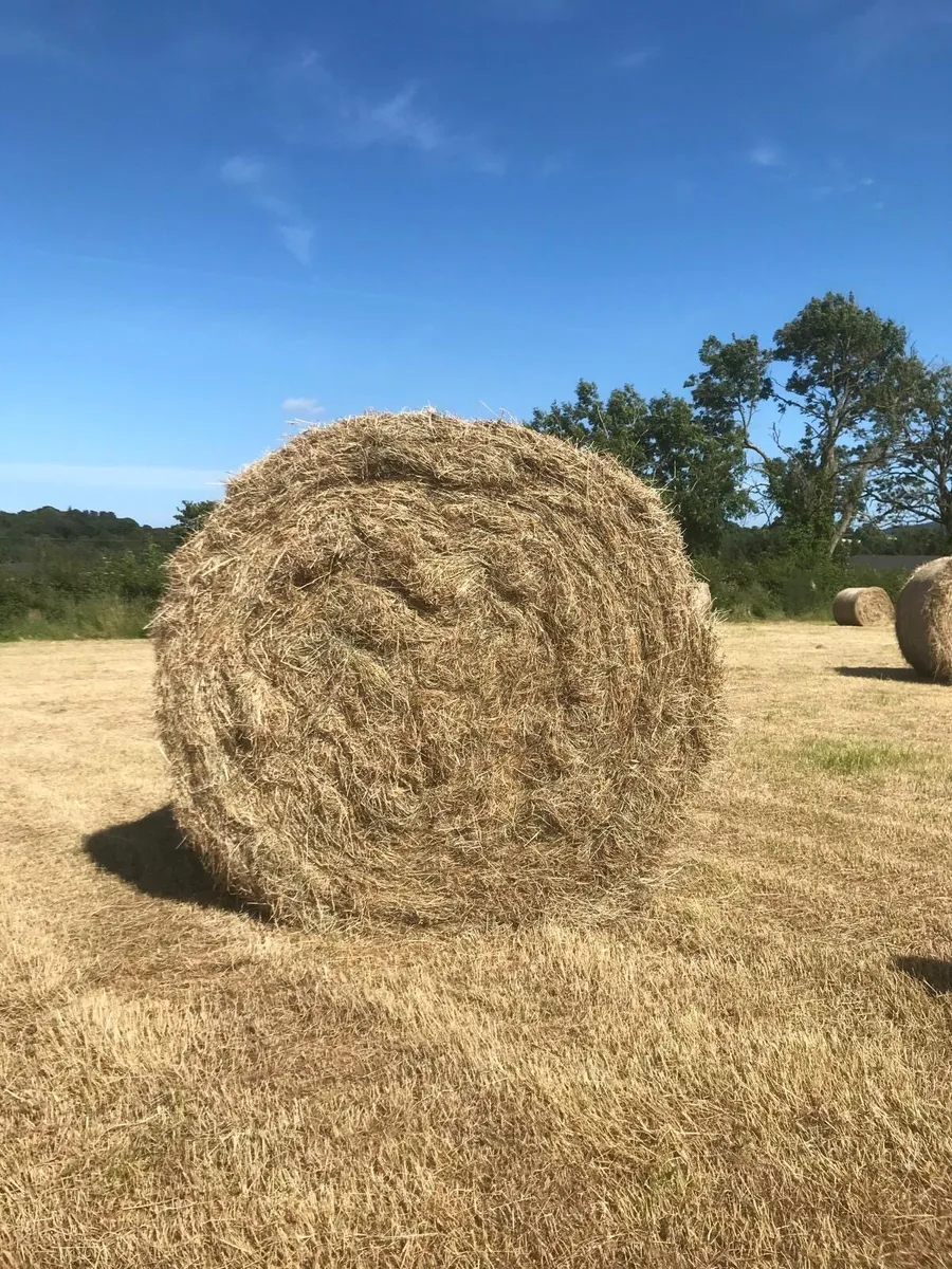 4x4 hay bales - Image 3