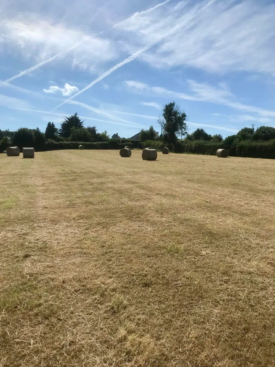 4x4 hay bales - Image 1