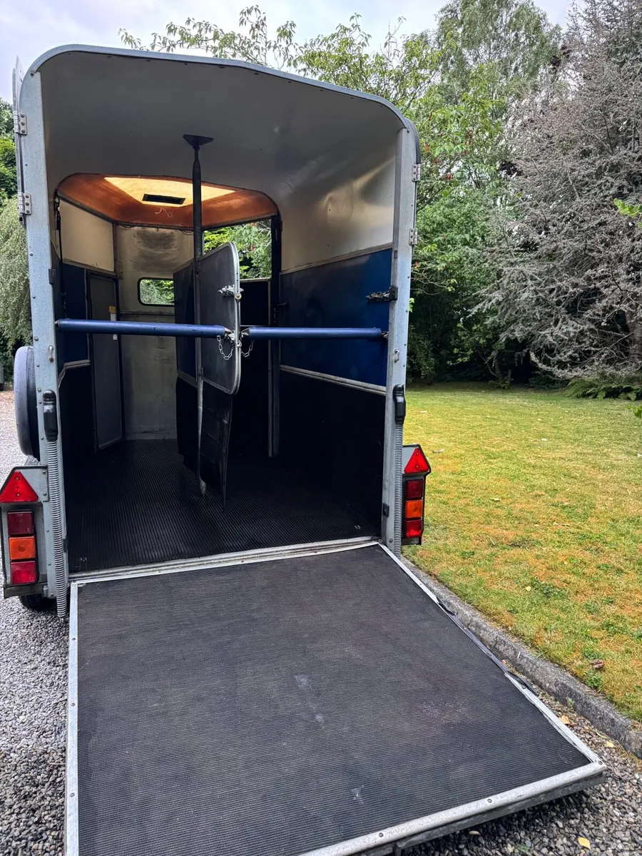 Horsebox - Image 4