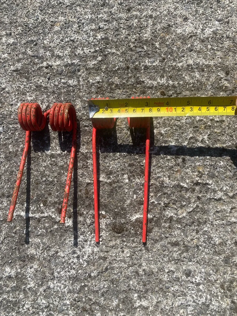 Tines - Image 2