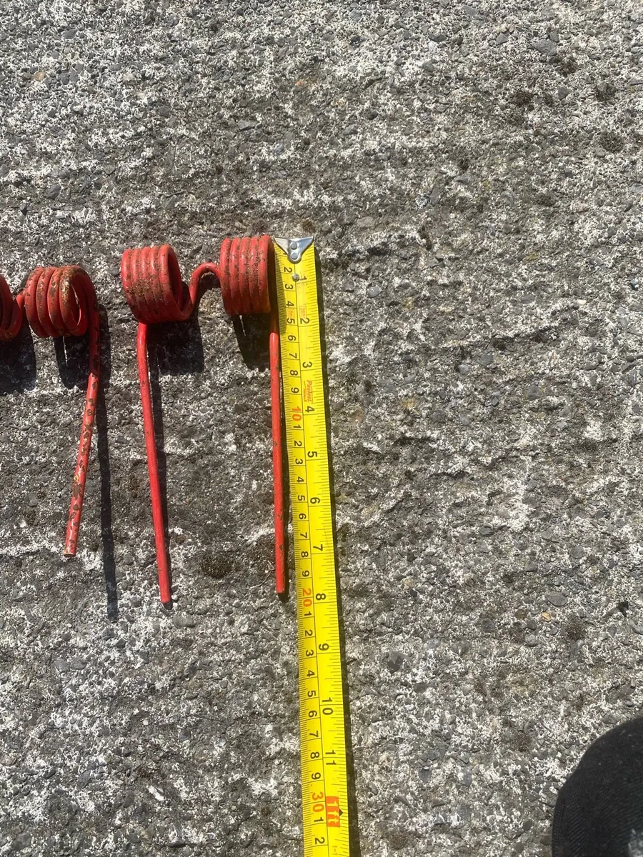 Tines - Image 3