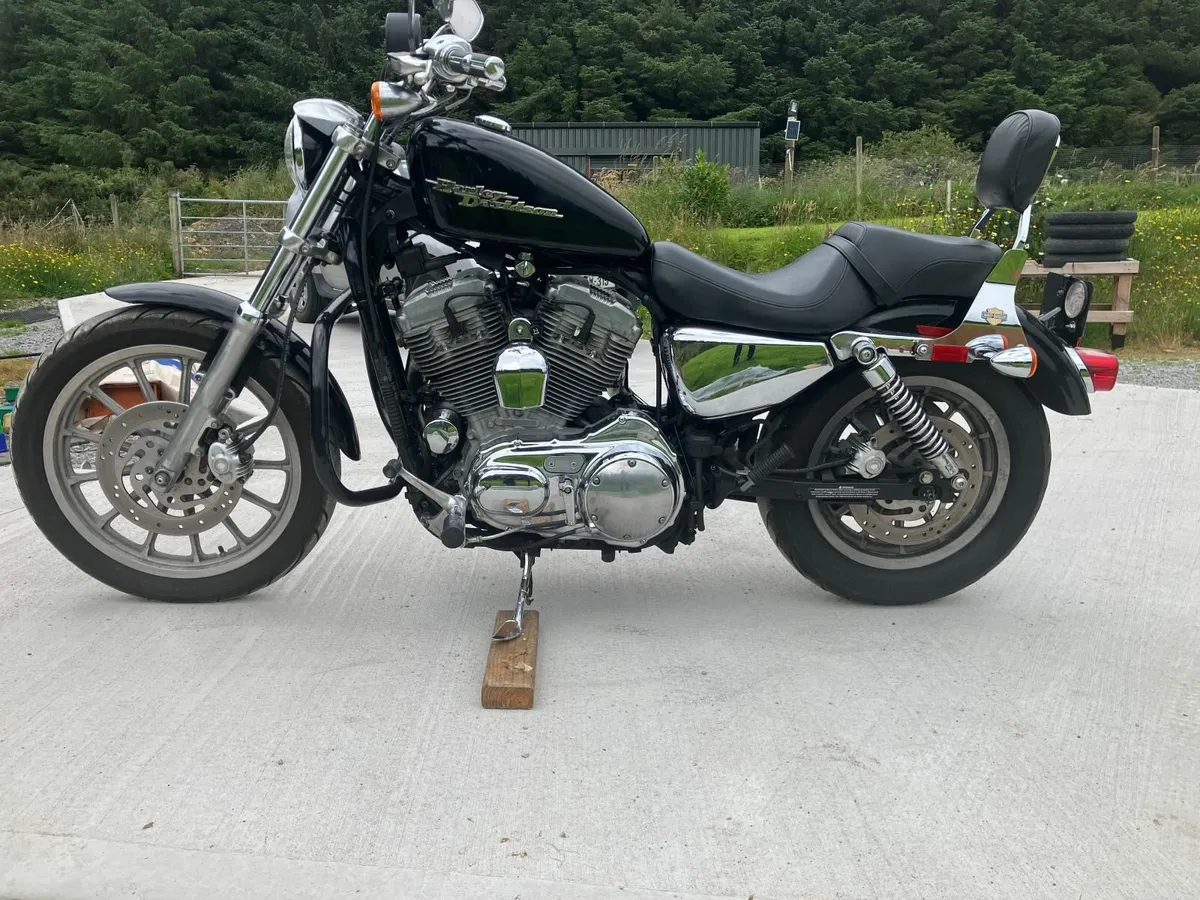2004 HARLEY DAVIDSON  Sportster 1200 - Image 2