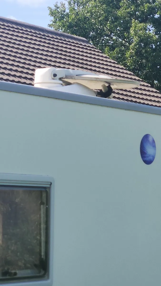 For Sale: Fiat Ducato Camper 2.3 Multijet 130 BHP - Image 4