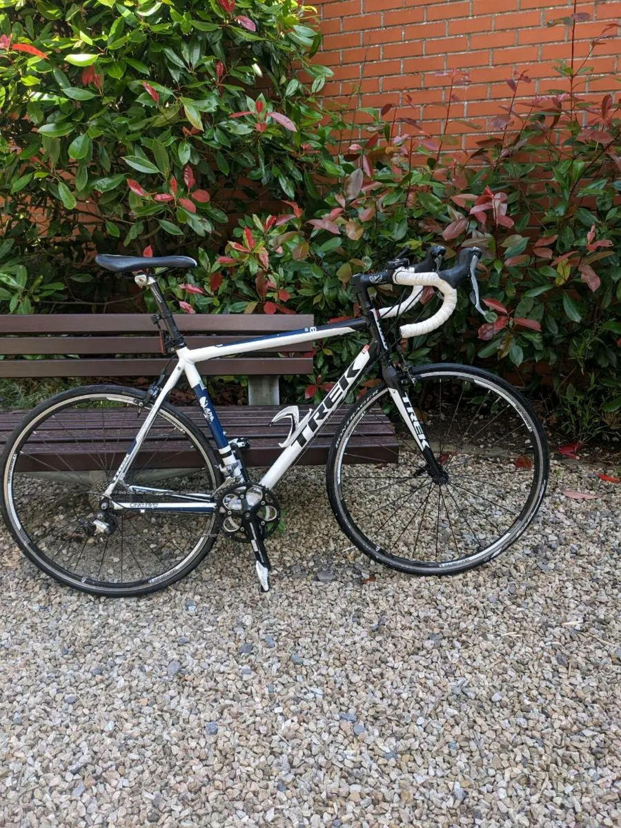 Trek Road Bike - Image 1