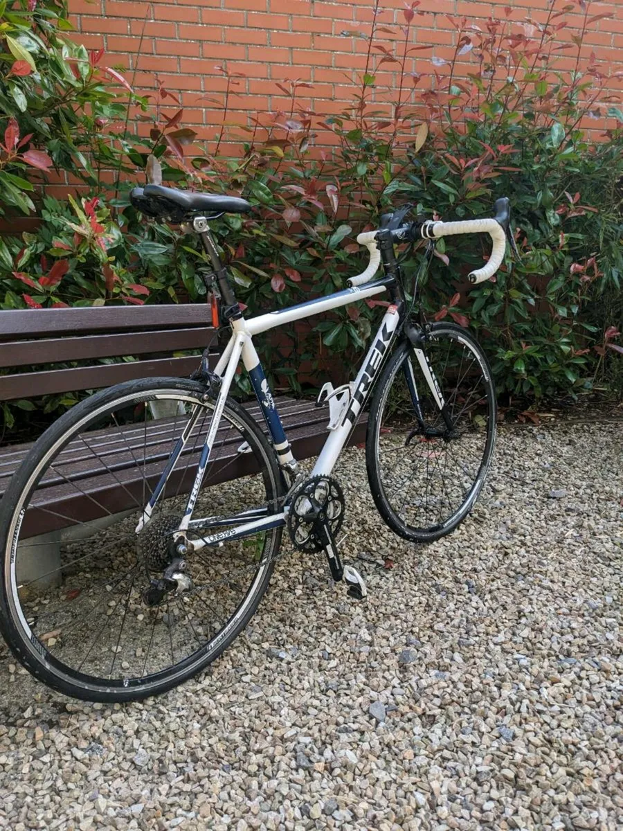 Trek Road Bike - Image 3