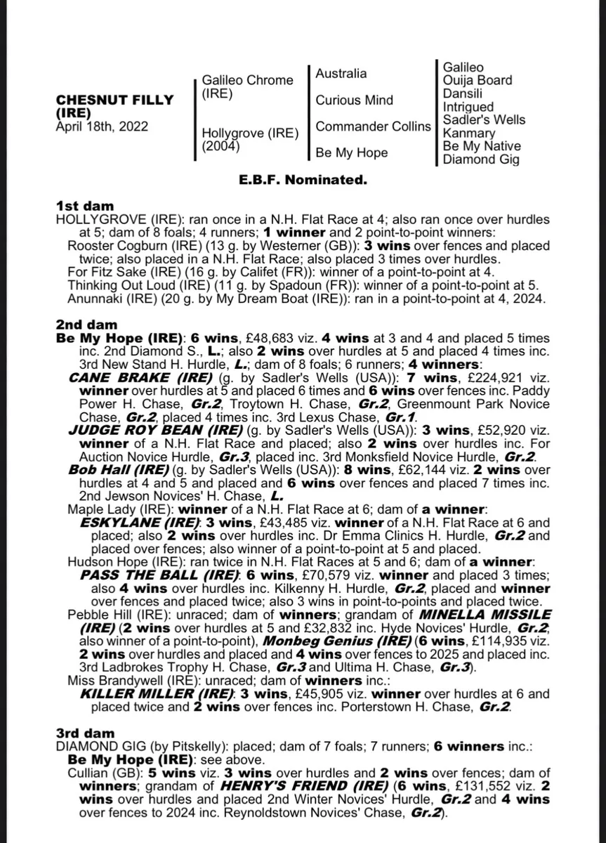 Well Bred Filly - Image 1