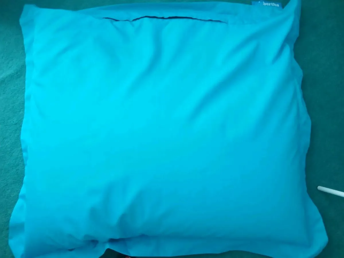 Big Bertha Beanbag - Image 1
