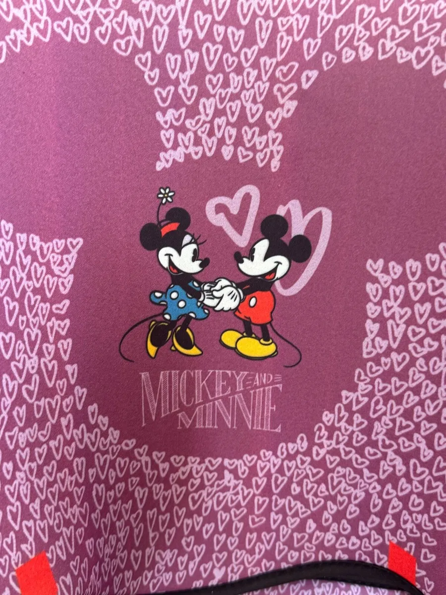 Mickey & Minnie Booster Car Seat - Image 3