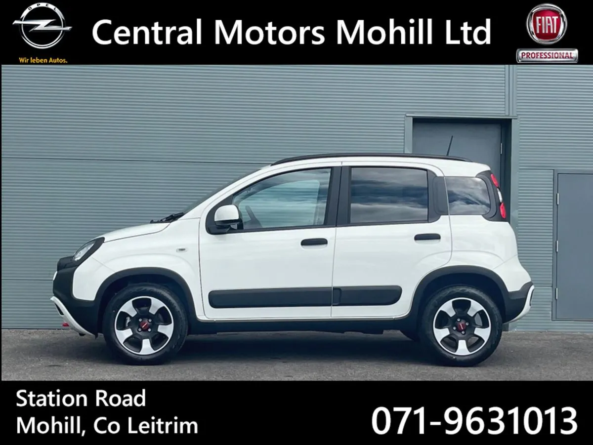 Fiat Panda Cross 1.0 Hybrid Petrol Best Value Hug - Image 2