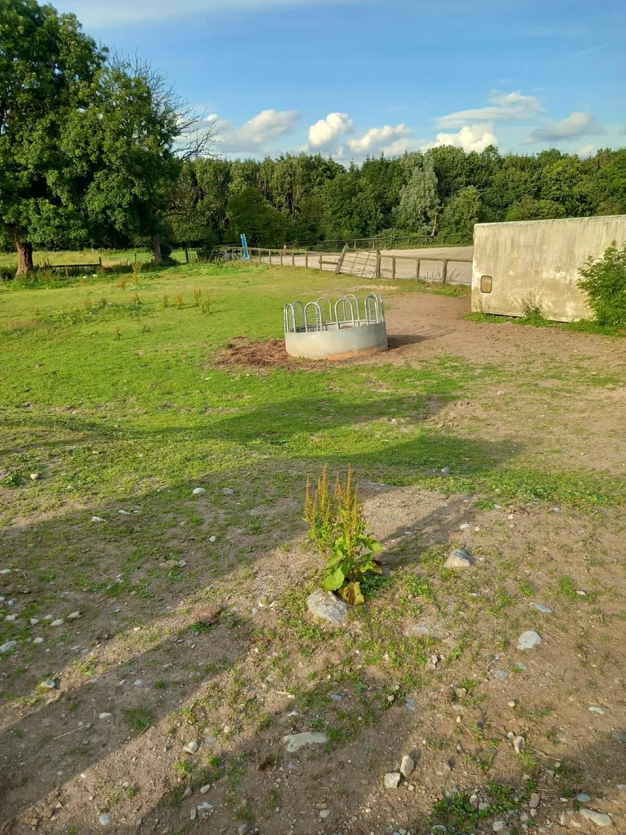 Farming Equipment - Image 2