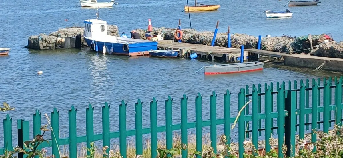 Boat Half Decker - Image 1