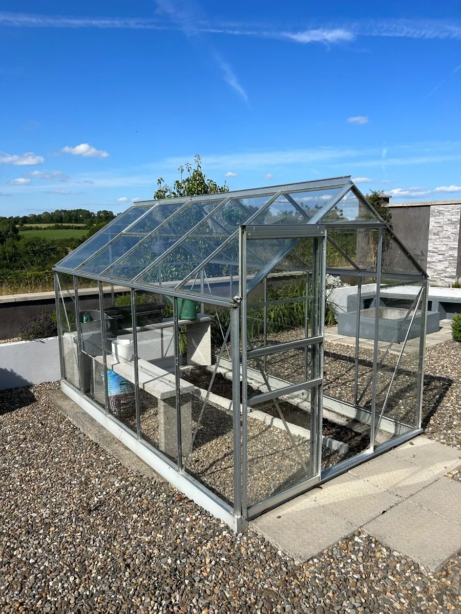 Glass greenhouse for sale with interior shelving - Image 2