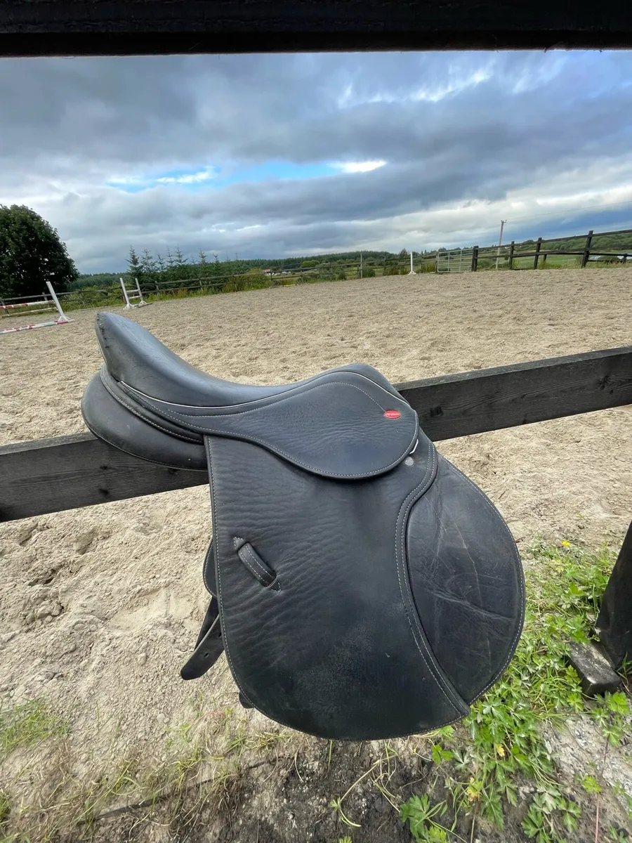 15.5 inch Whittaker saddle - Image 1