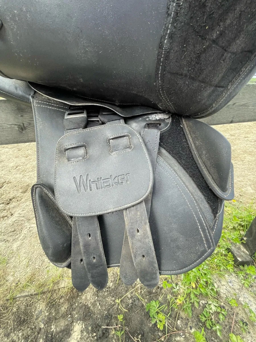 15.5 inch Whittaker saddle - Image 2