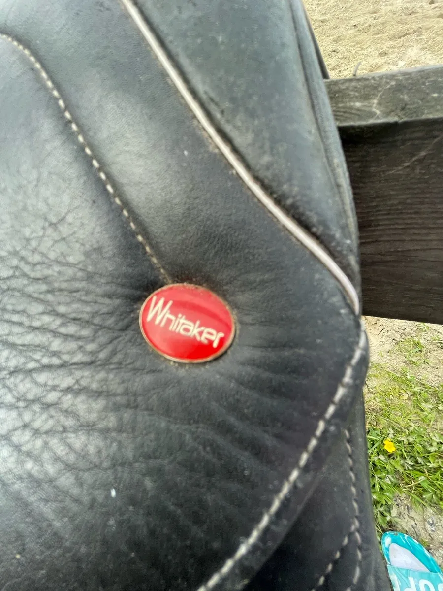 15.5 inch Whittaker saddle - Image 3