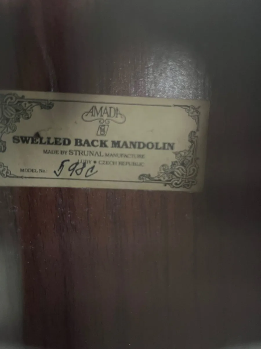 Amada Mandolin - Image 2